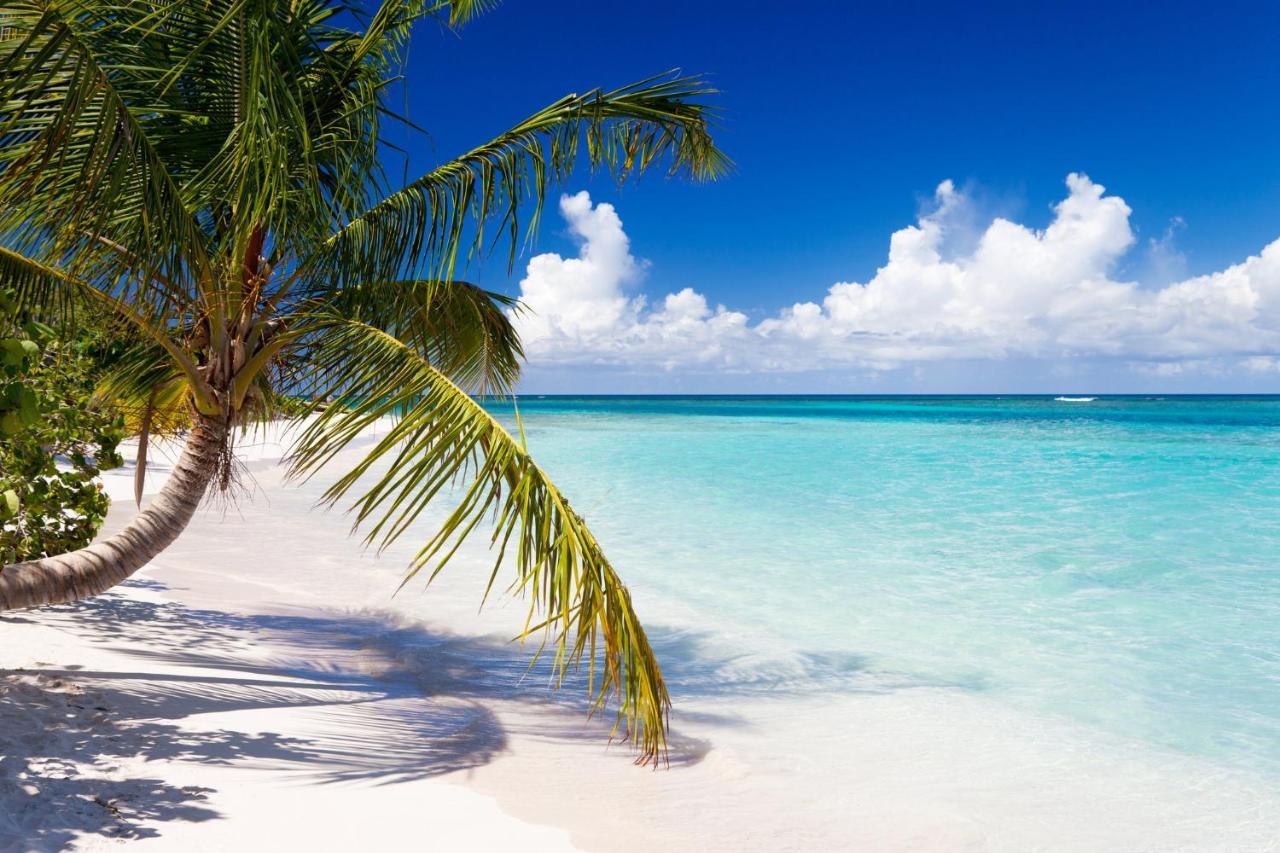 Вілла Chill Spot Ceiba Екстер'єр фото